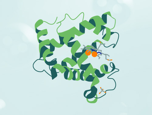 分子互作研究