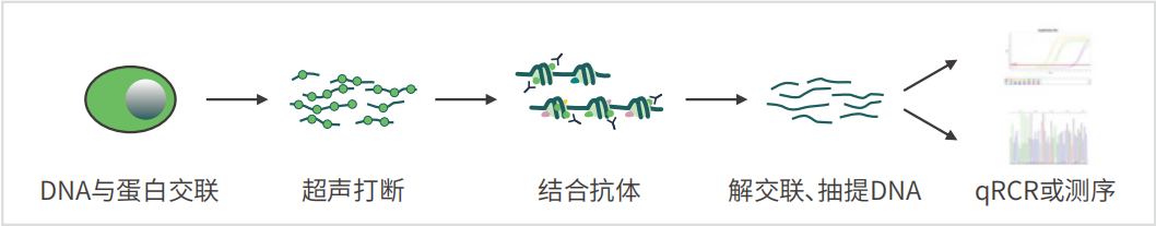 918博天堂 --官方网站