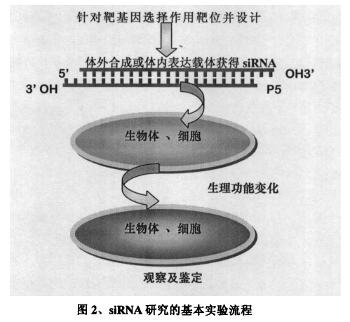 918博天堂 --官方网站